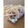 Boucles d'oreilles en pierre de lune